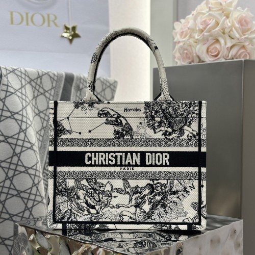 Dior Book Tote (Small)