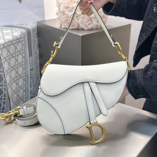 Dior Saddle (Medium)